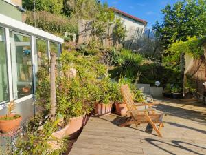 a patio with a wooden bench and plants at Löwensteiner Berge in Löwenstein