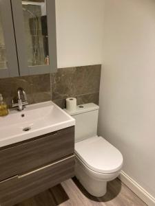 a bathroom with a white toilet and a sink at The Shed in Long Stratton