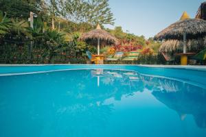 una piscina con sillas y sombrillas en Makenke Hostel By Los Colores Ecoparque en Doradal