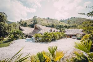 um grupo de cabanas numa praia com palmeiras em Makenke Hostel By Los Colores Ecoparque em Doradal