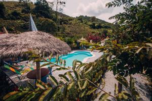 a resort with a swimming pool and a straw umbrella at Makenke Hostel By Los Colores Ecoparque in Doradal