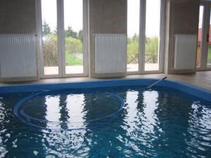 a swimming pool with a hose in a room with windows at Áldos Panzió in Farád