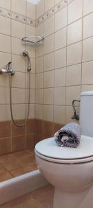 a bathroom with a toilet and a shower at Apartments Anna Maria in Agia Anna Naxos +18 photos