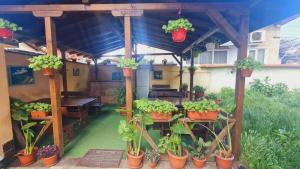 een pergola met potplanten en een tafel bij Guest House PIP in Velingrad