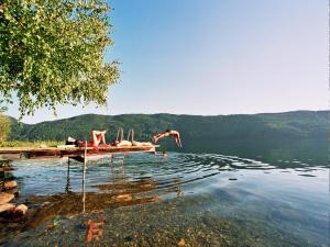 a body of water with a dock in the water at Seefels Appartements in Döbriach