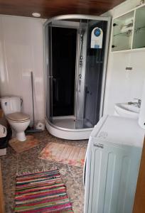 uma casa de banho com um chuveiro e um WC. em Ojavere Puhkemaja em Plika