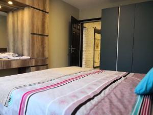 ein Schlafzimmer mit einem großen Bett und einem Schrank in der Unterkunft Mihajlovik LUX Apartment in Heart of SKOPJE in Skopje