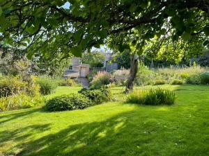 a green lawn with a tree in a yard at Masons Cottage, an Idyllic retreat in an area of outstanding beauty, close to Blenheim Palace, Oxford & The Cotswolds in Stonesfield