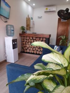 a living room with a blue couch and a plant at Hotel Filigrana Mompox in Mompos