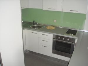 Kuchyň nebo kuchyňský kout v ubytování Apartments Đerek Pisak