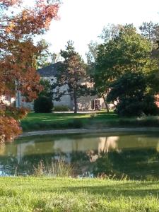 a pond in the yard of a house at La maison du pech in Monteils