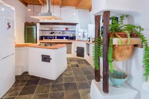 Kuchyň nebo kuchyňský kout v ubytování Lanzahost Finca Mojon