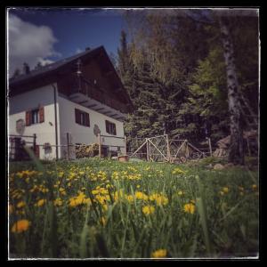 una casa con un campo de flores delante de ella en B&B Alle Betulle, en Pievepelago