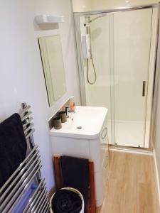 Escape Pod in Devon, 5 mins from beach + parking的一间浴室