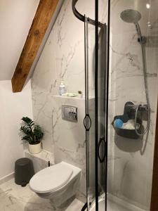 Kúpeľňa v ubytovaní ARSENAL apartment CITY CENTER Wrocław