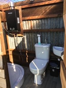 a bathroom with a toilet and a sink at Shepherds Hut in a private meadow with sea views in Hartland