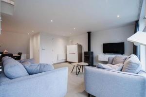 馬爾梅迪的住宿－Le Cottage du Raidillon，客厅配有2张沙发和1台平面电视