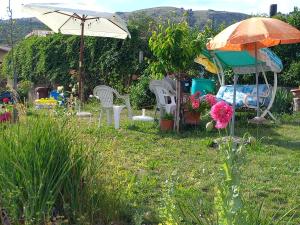 A garden outside Alloggio Taddei