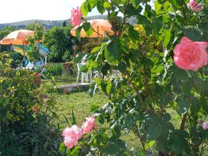 A garden outside Alloggio Taddei