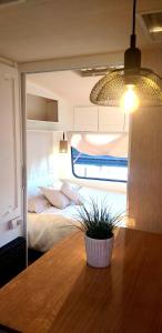 a bedroom with a bed and a table with a potted plant at Caravana- Glamping Casa tortuga in La Nucía +82 photos