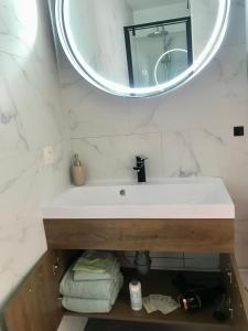 ein Bad mit einem Waschbecken und einem Spiegel in der Unterkunft Happy stay by Anaïs - 20m to beach in De Panne