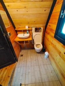 mit Blick auf ein Bad mit WC und Waschbecken in der Unterkunft Patara Bungalov Houses 1 in Kaş