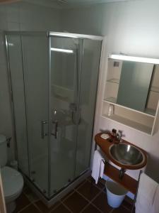 a bathroom with a shower and a sink and a toilet at Alojamento Local Boega Hotel - Casas Boega I e II in Gondarém