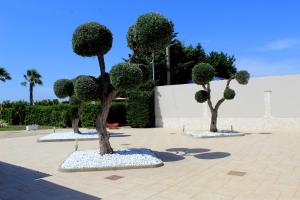 Ein Garten an der Unterkunft Tenuta Paifer