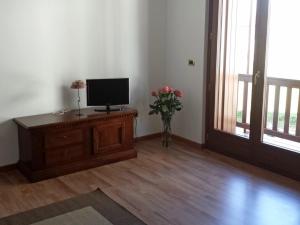 TV a/nebo společenská místnost v ubytování Farmstay Alloggio Cort di Branc