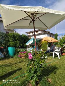 A garden outside Alloggio Taddei