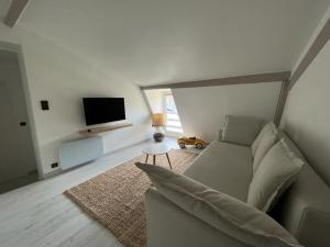 uma sala de estar com um sofá e uma televisão em Maison/ Loft familial à Etretat em Étretat
