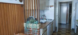 a kitchen with a sink and a counter top at Senia Retro in Senj +39 photos