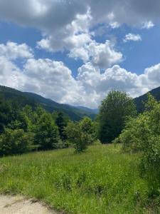 ein Grasfeld mit Bäumen und einem Himmel mit Wolken in der Unterkunft AB’s rustic cabin in Dejani