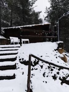 Bosco Paradiso v zimě