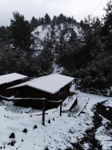 Bosco Paradiso v zimě