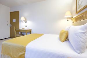 Postel nebo postele na pokoji v ubytování Hotel Olmeca Plaza