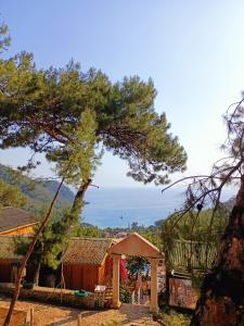 a view of a tree and a gazebo at Tree Houses Hotel in Fethiye