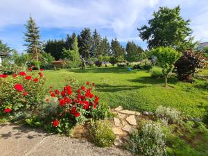 un jardín con flores rojas en un patio en Apartman Bepo en Gospić