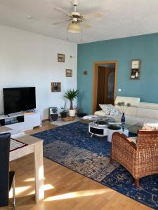 Mühl RosinにあるVilla Irene am Inselseeのソファとテレビのあるリビングルーム