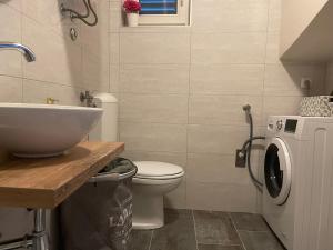 ein Badezimmer mit einem Waschbecken und einer Waschmaschine in der Unterkunft Villa Nika in Valun