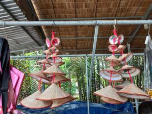 Fotografie z fotogalerie ubytování Nguyet Que Homestay & Tours v destinaci Ben Tre