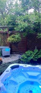 a blue tub in a yard with a tree at Ach to tu in Malbork