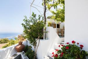 vistas a una casa blanca con flores en las escaleras en Myrtia Vacation Home en Kárpatos