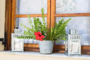 Fotografie z fotogalerie ubytování Myrtia Vacation Home v destinaci Karpathos