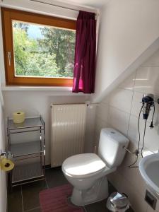 a small bathroom with a toilet and a sink at Waldhaus in Sankt Martin am Tennengebirge +50 photos