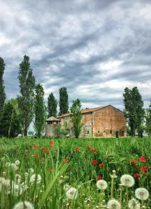 un campo de flores frente a un edificio en Le Stanze di Matilde en Crevalcore