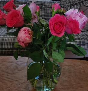 ラ・ロシェルにあるRvsのテーブルの上にピンクとピンクのバラが詰まった花瓶