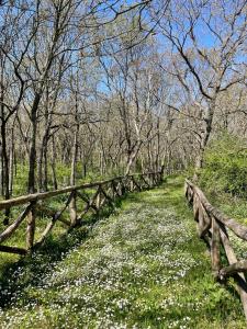 a wooden fence in a field with white flowers at Masseria La Mandra in Noci