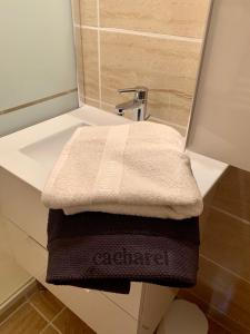 エーグ・モルトにある11 le tadorneのバスルームの洗面台の上にタオルを用意しています。