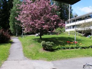 een boom met roze bloemen in een park bij Laajavuoren majapaikka — Condo in Laajavuori in Jyväskylä